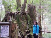 kiyohiko85jp̉v̓eʐ^3