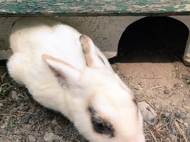 �������⃂�����b�g�Ƃ��ӂꂠ���܂�_�ƃP�r����