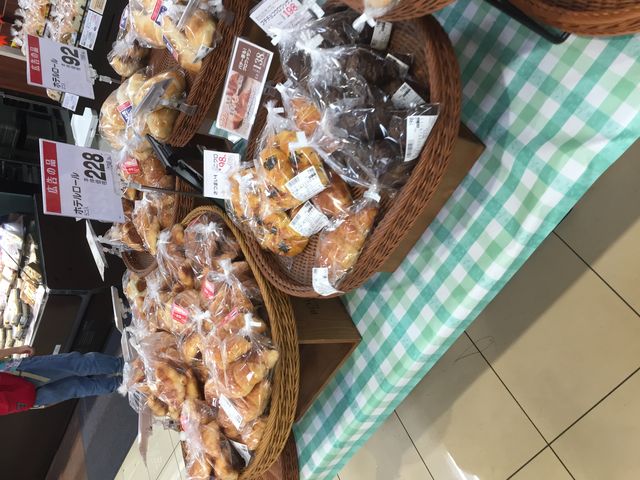 �p��������_�����̋�