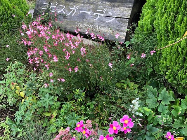 �R�s�X�K�[�f���@�ē��v���[�g_Coppice GARDEN