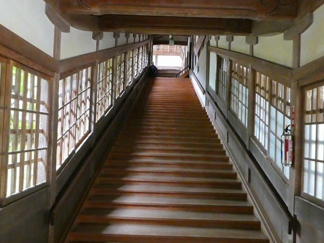 ���䌧�g�c�S�i������ �����@��{�R�i���� ���������ɌX���Ă���K�i_�����@��{�R�i����