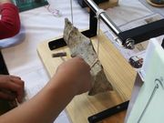 ܂Ȃ܂܂̋IazRق̓eʐ^2