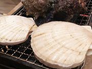 ܂Ȃ܂܂̈ېY wX̓eʐ^2