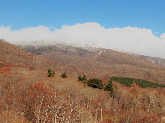 ���֑O�W�]�������R_�x�ɑ� ���Ԓ�����