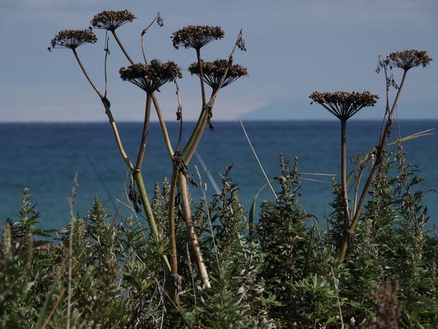 �R���P�����ԉ����m��������]��_�R���P�����ԉ�