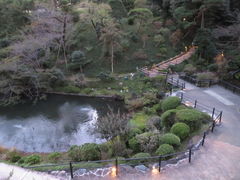 z[vu̒֎R 뉀ւ̓eʐ^1