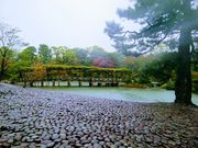 ҂ɂ̋s哴䏊̓eʐ^1