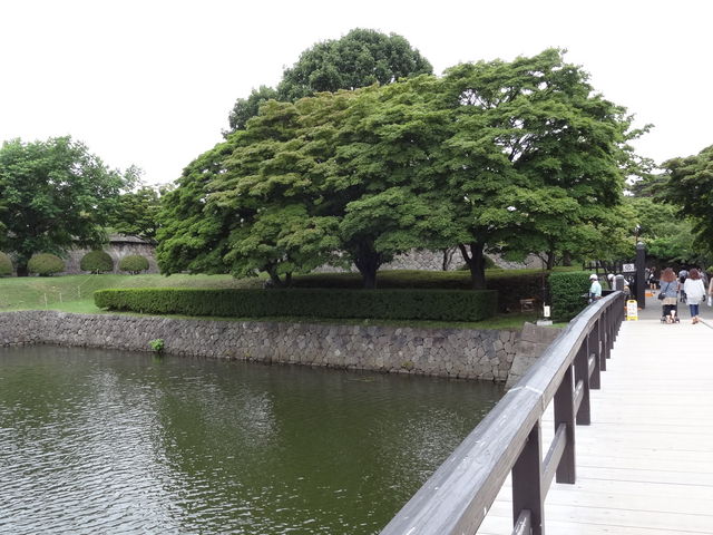 ������_�ܗŊs����