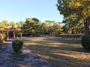 䂫Ȃ̈ɒOpՂ̓eʐ^1