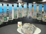 yocchan̉ԊsZ^[̓eʐ^1