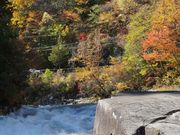 񂳂̖ؑ]XѓSLOق̓eʐ^5