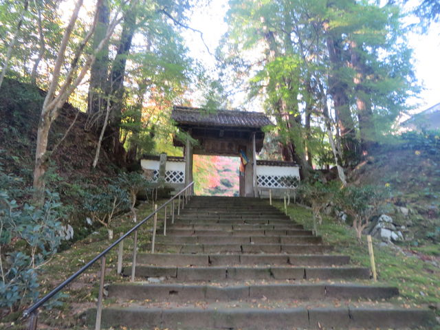 Ԃ񂳂̉i@R^Ԃ̓eʐ^1