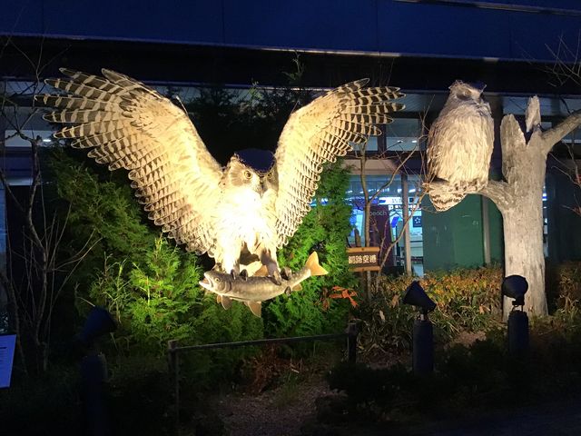 [ꎞ _Hsόēi񂿂傤H`j