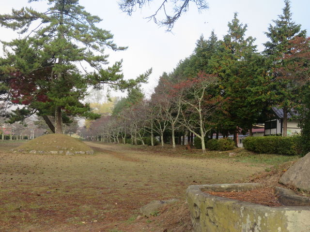 ��_�h�������^������