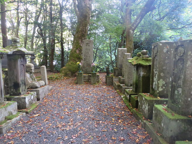 �X�ꑰ_�X���O�揊