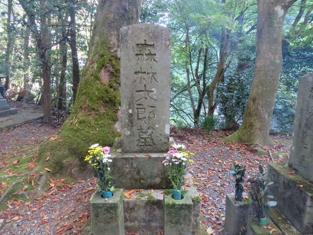 �X���O_�X���O�揊