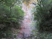 �Ԃ���񂳂�̗Y��E����̓��e�ʐ^2