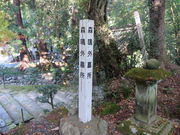 �Ԃ���񂳂�̐X���O�揊�̓��e�ʐ^3