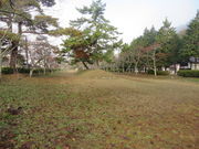 �Ԃ���񂳂�̘h�������{���L�n�n��̓��e�ʐ^1