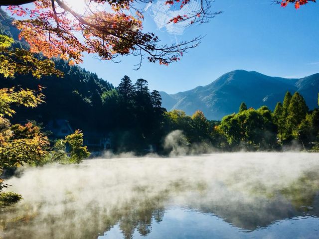 ،΂̎ӂ͍Ō̒肪cĂ_Rz@̒