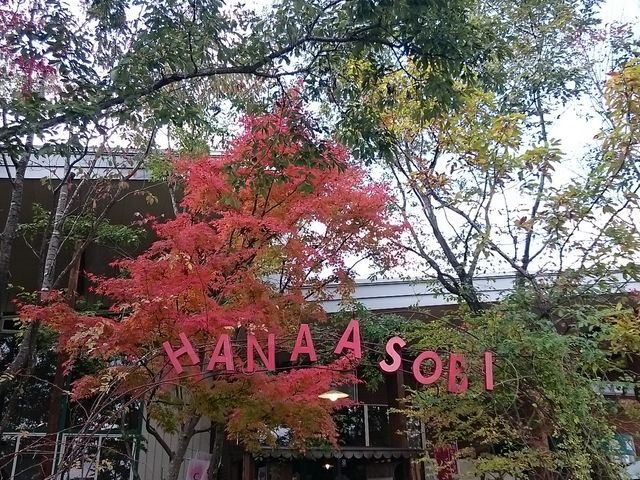 ܂܂̂͂Ȉh JtF̓eʐ^1