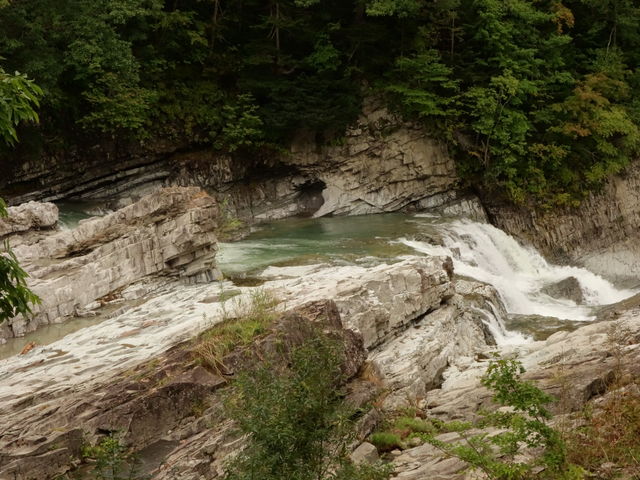 �O�i������̒ʘH���猩����O�i��ł��B_�O�i��