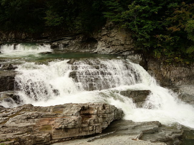 �O�i��͐��ʂ������A����鑬�x���������ߖ������Ɉ��Ă��܂��B_�O�i��