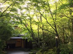 E̋̎Ȑh@R݂؂ւ̓eʐ^1