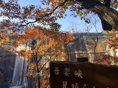 ���w�薼���u��ȋ��v�̍g�t�̎ʐ^1