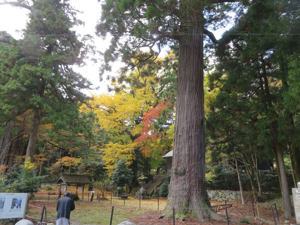糸島市の神社 神宮 寺院ランキングtop10 じゃらんnet