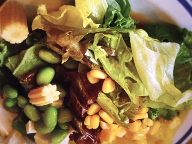 }񂳂̃KXg VX̓eʐ^1