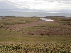 ̖kmV[TChCnNuւ̓eʐ^1