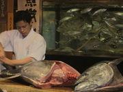 񂶂̊CN܂lX  t{X̓eʐ^1