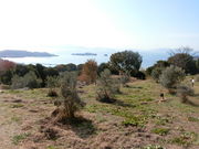 ���܂�����̋����I���[�u���̃I���[�u�̓��e�ʐ^1