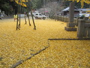 񂶂̊╔_Ђ̑C`E̓eʐ^2