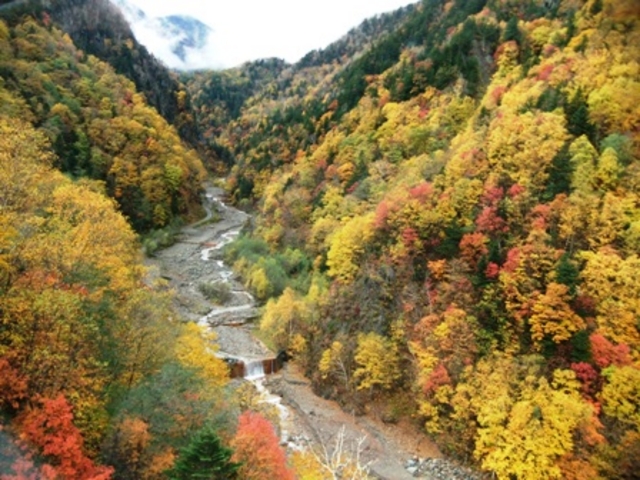 ���[�v�E�F�[����_���R�w�_���E���x���[�v�E�F�C