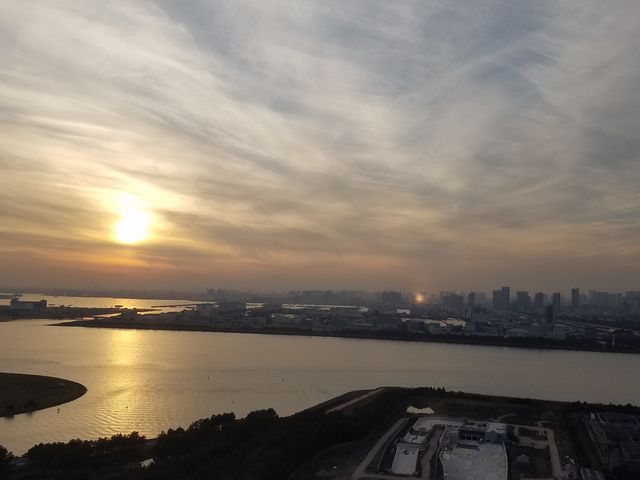 �����p_�_�C���ƉԂ̑�ϗ���