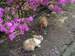 ʂ̋xɑ v쓇ւ̓eʐ^1