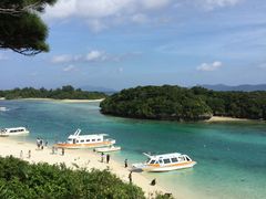 񂳂̐약}T[rXւ̓eʐ^1