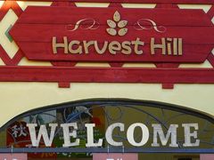 }bN̍䥗΂̃~[WA n[xXg̋uւ̓eʐ^1