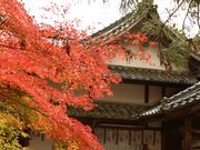 ���ؒ�����̌L�R�_�Ђ̍g�t�̓��e�ʐ^1