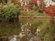 ���ؒ�����̌L�R�_�Ђ̍g�t�̓��e�ʐ^2