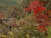 ���ؒ�����̌L�R�_�Ђ̍g�t�̓��e�ʐ^3