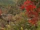 無豚着さんの鍬山神社の紅葉の投稿写真3