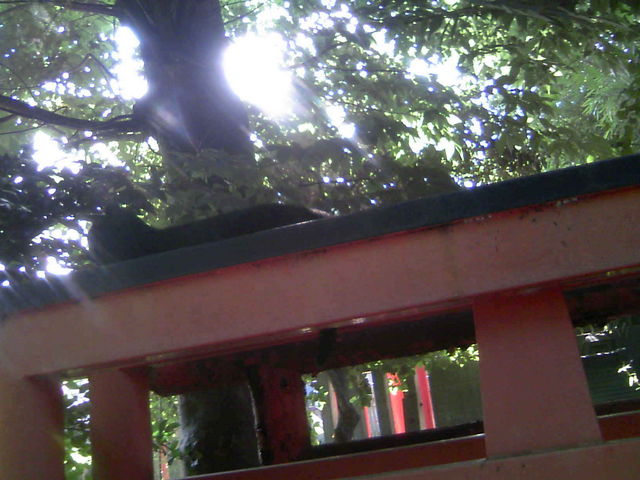 �ϒˑO�̒�����ŐQ���ׂ鍕�L_�����א_��