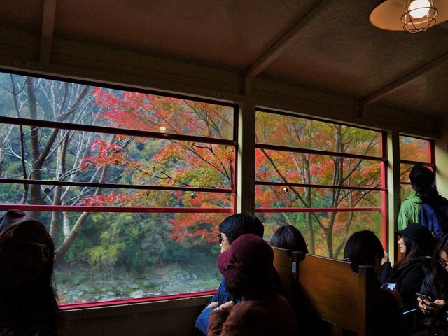 秋のトロッコ列車_嵯峨野トロッコ列車