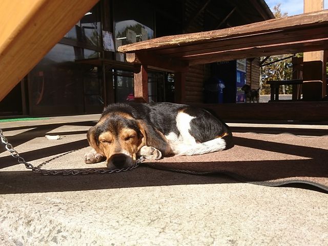 ��_�����イ���R������