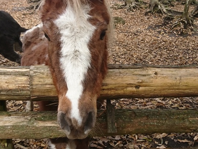 �n_�����イ���R������