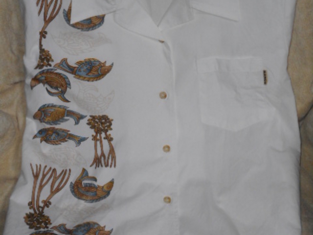 ����䂵�F����ł́A���̕��͉��N�������̂��Ƃ��B_�ߔe���ےʂ菤�X�X