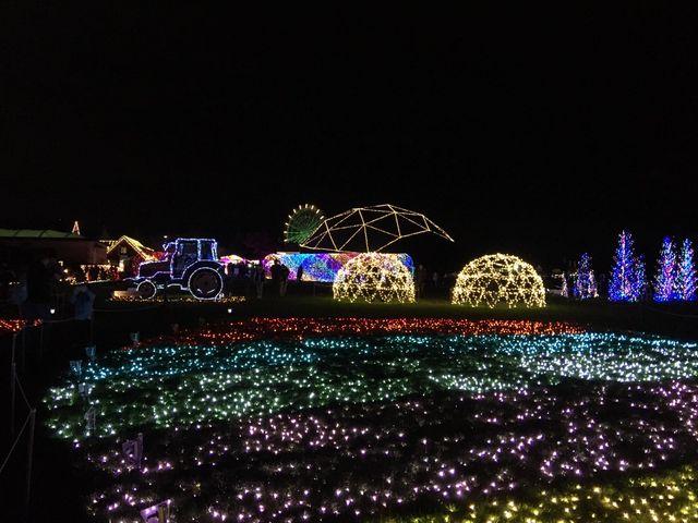 �}�U�[�q��